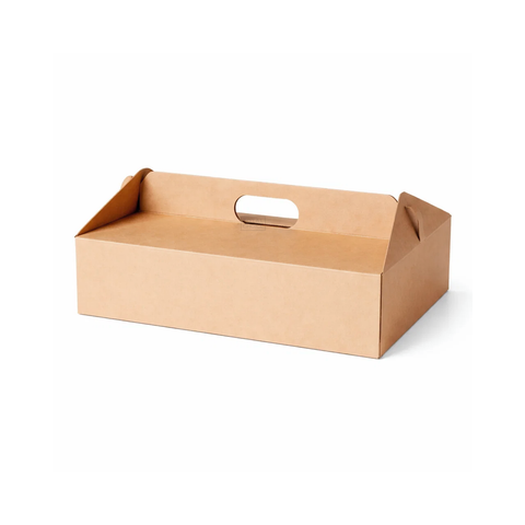 Takeaway Food Carry Box #3