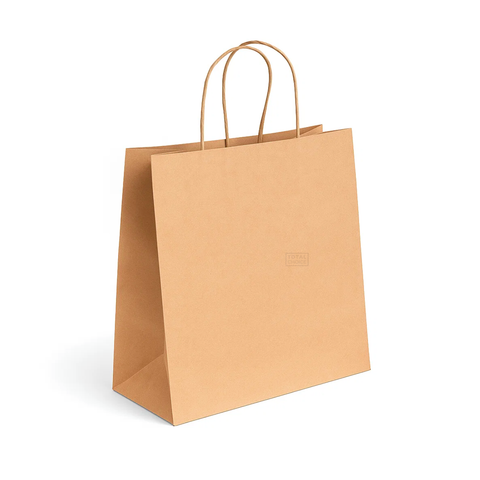 Kraft Paper Carry Bag with Twist Handle #5