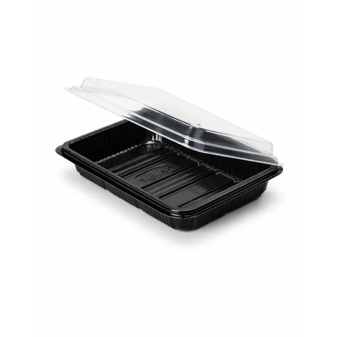 Japanese Container with Hinged Black Base Large